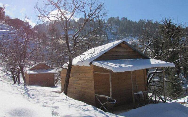 Eco Village, Shimla 4